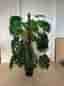 Monstera konstgjord växt