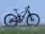Canyon strive CF 8.0, strl Large 29”