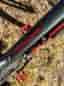 Trek Roscoe 6 2022 mid-fat bike