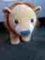 Lejon gossedjur