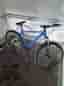 MTB29