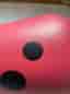 Wheely Bug Lady bug