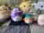 Squishmallows gosedjur samling