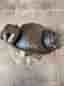 Skyddshjälm Kask Superplasma AQ med visir och 3M Peltor WS alert XP