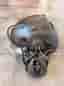 Skyddshjälm Kask Superplasma AQ med visir och 3M Peltor WS alert XP