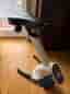 Motionscykel Gymstick Desk Bike