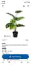 IKEA FEJKA konstgjord Monstera krukväxt 19 cm svart kruka