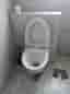 Vägghängd toalettstol med sits och fixtur, Grohe,