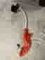 Black & Decker grästrimmer el