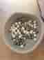 Bollhav till barn