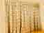 Designer curtains/gardin