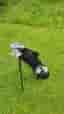 Junior/Barn Golfset
