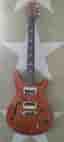 PRS SE elgitarr