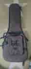 PRS SE elgitarr