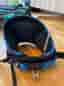 Komplett kitesurfingutrustning – F-One Bandit, Mystic, RRD, Best
