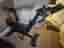 Life fitness IC8 motionscykel svart