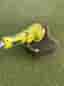 Ryobi EasyEdge grästrimmer