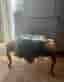 Antik pall
