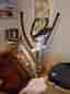 Stabil Crosstrainer – Abilica