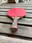 STIGA Cybershape Classics Allround pingisracket + STIGA fodral