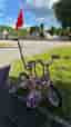 Barn cykel 12” tum ( POLLUX )