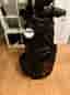 Big Max Aqua Sport 2 Vagnbag