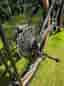 Orbea Occam SL M-LTD