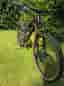 Orbea Occam SL M-LTD