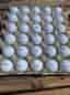 30st Titleist golfbollar vita blandade
