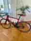 Scott Foil landsvägscykel (L)