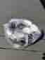 Select Super fotboll vit/svart/guld size 5