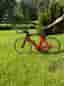 BMC Timemachine 02 Triathlon Cykel års modell 2020