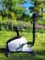 Motioncykel begagnad Casall Exercise Bike Easy Step EB100