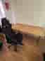 Legend gamingstol svart + skrivbord träskiva