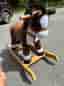 Gunghäst Trudi