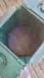 Greenline kompostbehållare trädgård