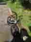 Bmx Trix