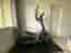 Master CF50 crosstrainer