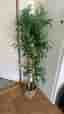 Konstväxt bambu ca 120 cm grön