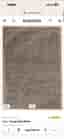 Rugvista Aris rya matta 160x230 greige