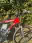 Scott scale 30 CRI Carbon technology