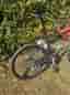 Scott scale 30 CRI Carbon technology