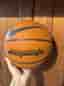 Nike Daymate basketboll