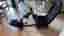 Playseat evolution med Logitech g920