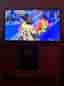 Sony Bravia 50” - smart