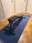 Master Fitness Black II Foldable Träningsbänk