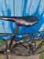 Crescent herrcykel 28" L svart
