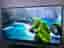 Philips 70” Smart 4K UHD 3 Sidig Ambilight