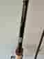 Savage Gear Custom Predator haspelspö med Daiwa BW 2500SH haspelrulle