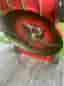 Klippo Excellent GCV -08